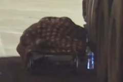 Ů�����ɷ��ܳ�������һĻ������Ȼ����