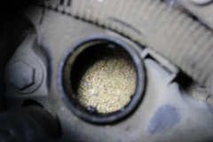 ��ʲô���ˣ��ൺ8����������������ɳ