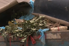 2�����������������佨�������ﱻ�飡