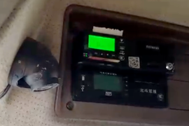 到底是不是免费安装视频监控?广州运管所:不是我们这里弄 不了解