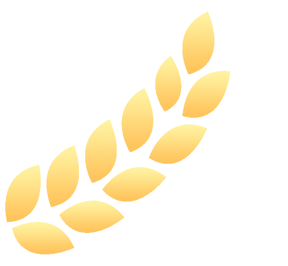 ��һ������ô��?���˲��߼�&nbsp;����ѡ����