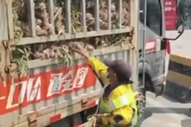 河南一服务区保洁趁卡友上厕所薅走车上蒜苗 服务区回应：没经过培训