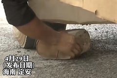 ����С��������ɲ���˾���ľͷɲ��