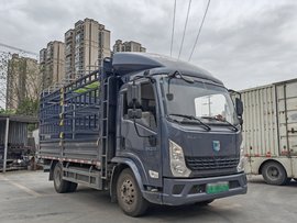 重载比标载续航远？绿牌轻卡好选择 蓝擎悦EN速报