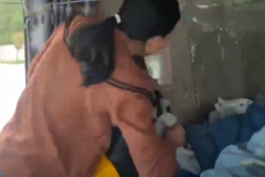 31�꽭������ȥ������2������ ��������