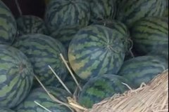 �����ܲ�ж������������˾����16800