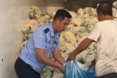 ���ϻ����෭���ﱻ���� ����ӭ��ת��