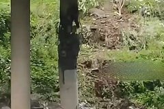 ����G65��ï����һ�Ŷ���ɽ����ʯ����