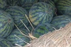 ����������16000������˫������ʧ��