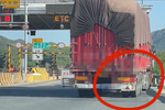 货车“走S形”影响收费站称重 仍被放行