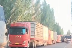 �����²����ĺ��˶���ͬ�Ķ³�̫����