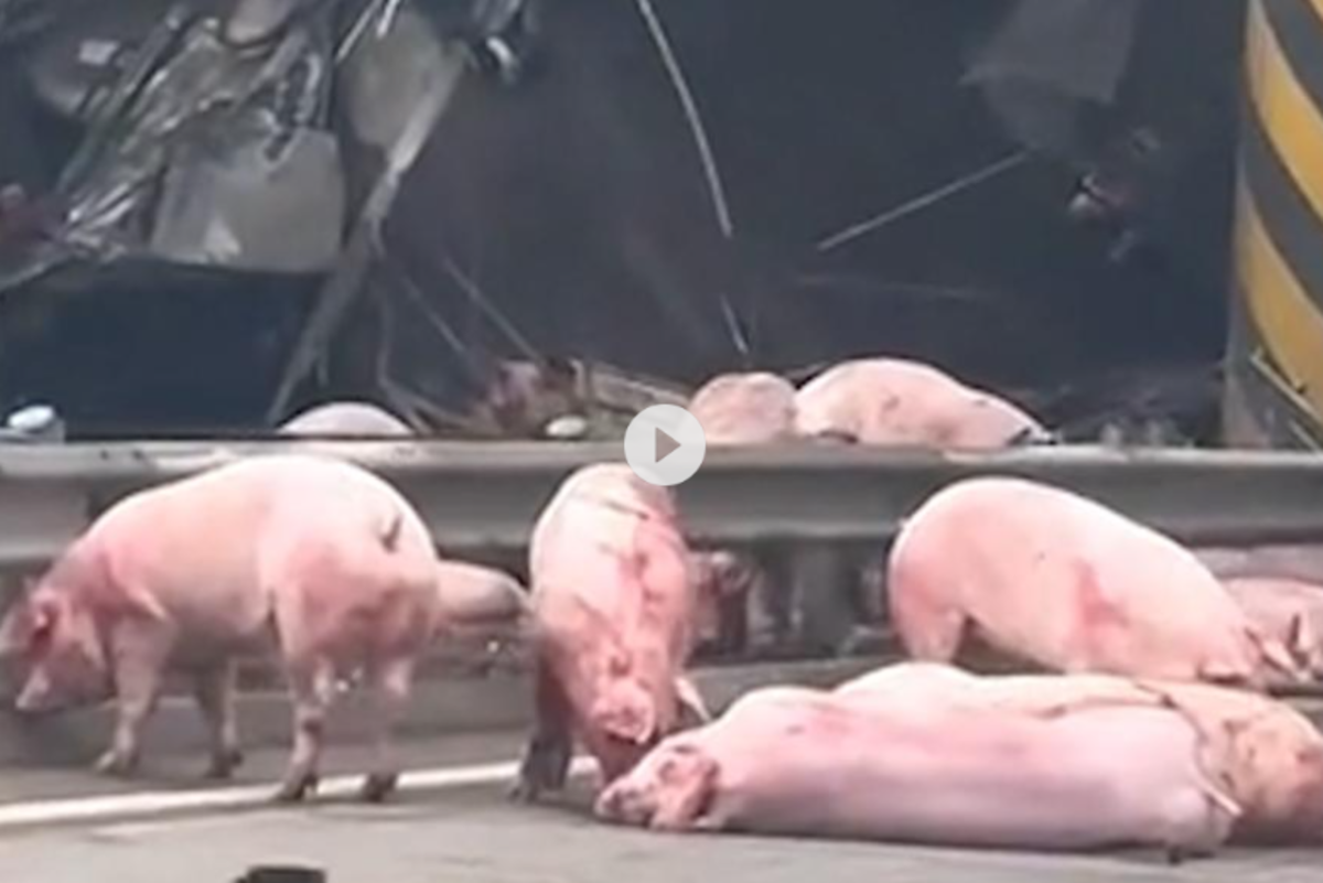 ����!���������෭&nbsp;�����ϱ������ʬ��