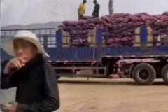 �����ܸ�3200�˷� ��������ȴ����