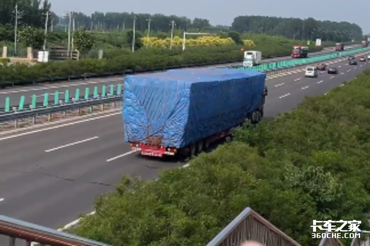 ���������У��׶����߹۲�Υ���ʴ�100%