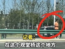 货车司机需翻越护栏过马路接受处理 这样执法合规吗？