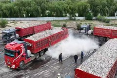 ��Ҵ��������������޳���Υ��������Ϊ