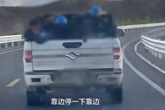 ����һƤ��Υ���ؿ�18�˱���1800��3��