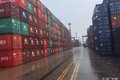 现状：宁波北仑临港出现“集卡围城”