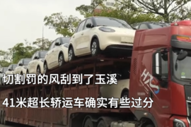 41米长轿运车玉溪落网 切割罚款别想跑了