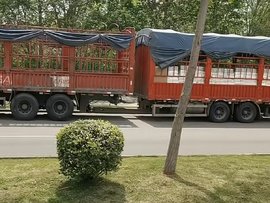 这是啥车型？前面9米6后面6米8 ！