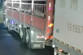 前面拉普货后面装冷藏 中置轴还能这么玩？