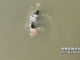 奖励2万元！36岁货车司机跳河救下少女