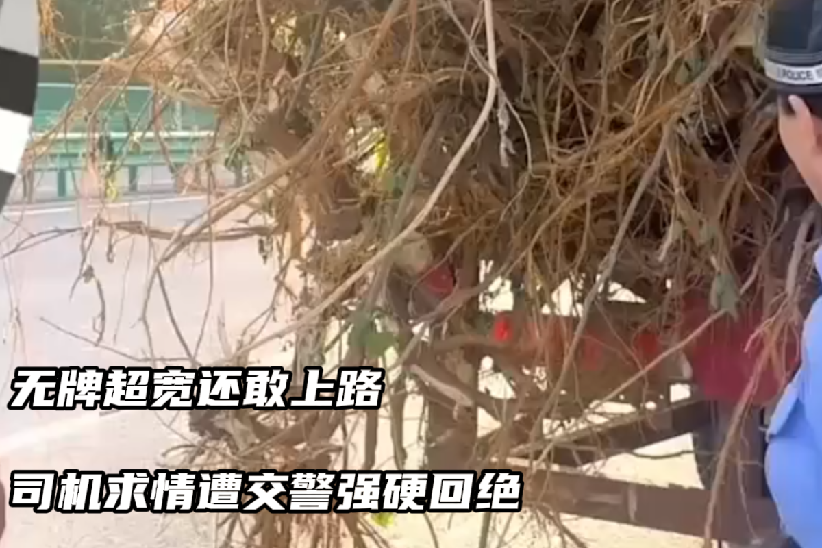 无牌超宽 驾驶员无证 被抓还让通融一下