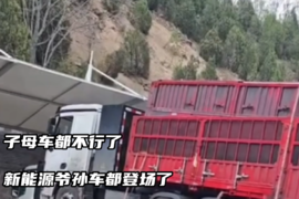 子母车见多了，电动爷孙车你见过吗？