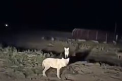 ˾ҹ½·˯ҧˣ
