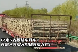 17米5大板挂车列车？真是人有多大胆地有多大产！