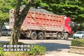 大货车被迫到车数百米 执法车步步紧逼