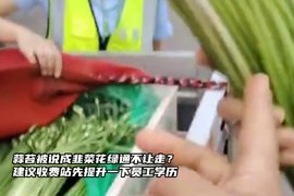 蒜苔被说成韭菜花不让走绿通？建议收费站先提升一下员工学历