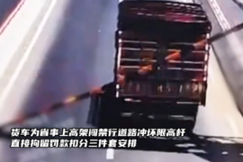 拘留罚款扣分 货车为省事上高架闯禁行道路冲坏限高杆