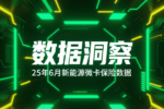 2025年6月新能源微卡保险数解读