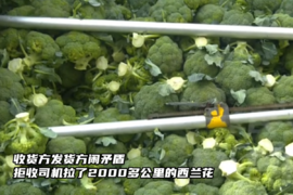 只因货主和发货方闹矛盾 就拒收司机2000多公里拉来的西兰花