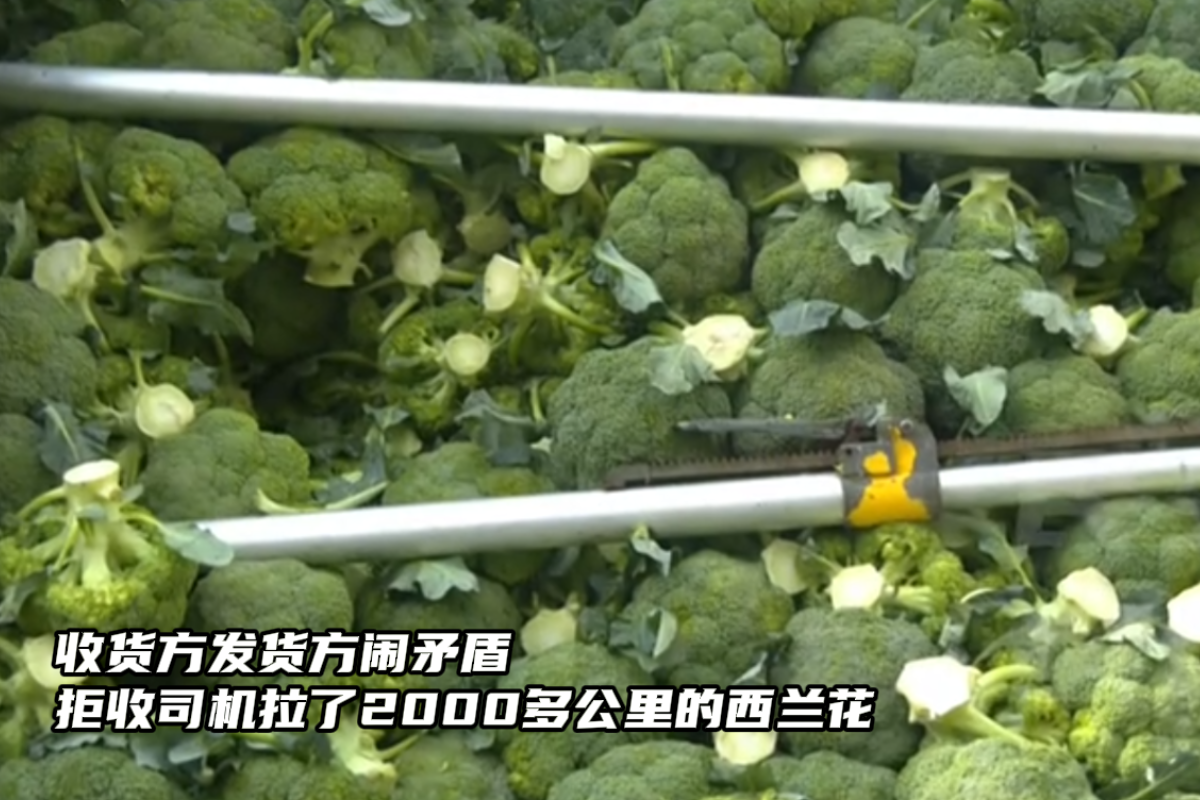 货主发货方闹矛盾 为难司机拒收西兰花