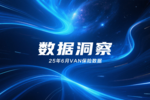 2025年6月VAN车保险数解读