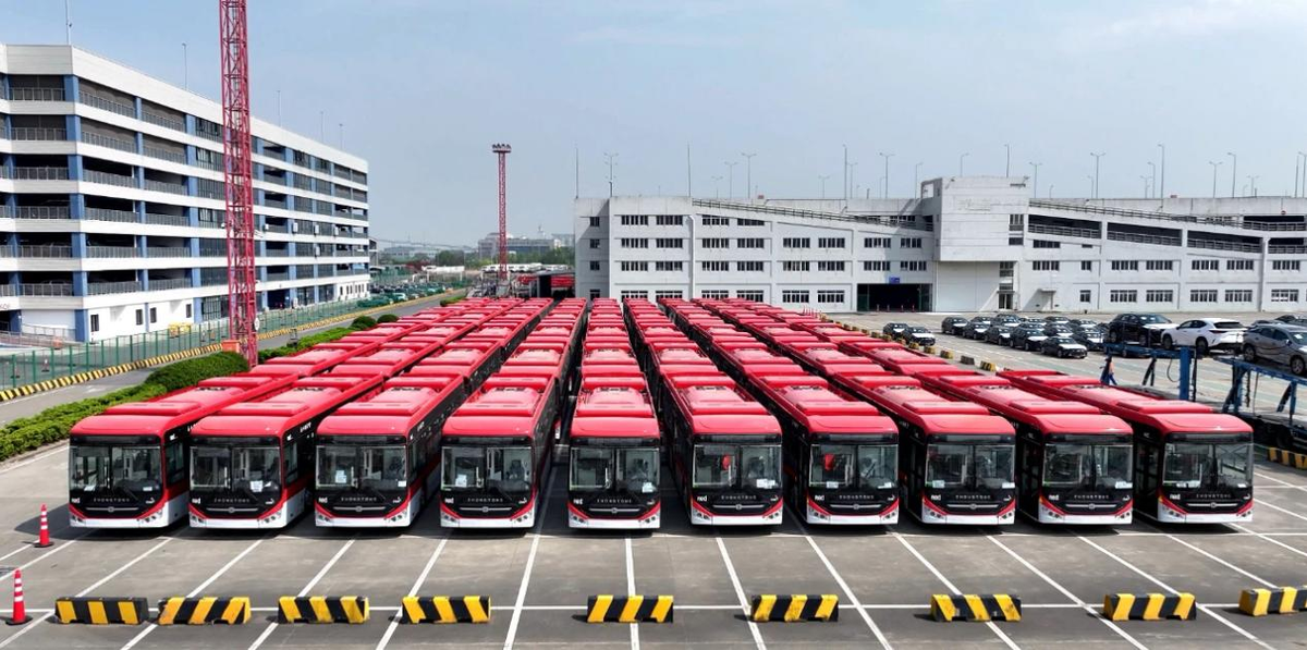 ����������&nbsp;ɽ���ع�������ҵ���