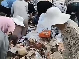 货车坠桥90万货物遭村民哄抢 驾驶员无力承担损失！