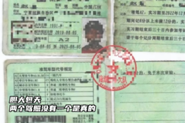 胆大包天！捡驾照换照片 DIY 俩证每一个真的