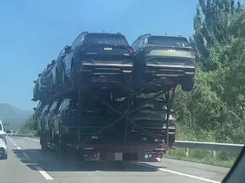 二怪看腻了 多久没在路上见到过大怪了？