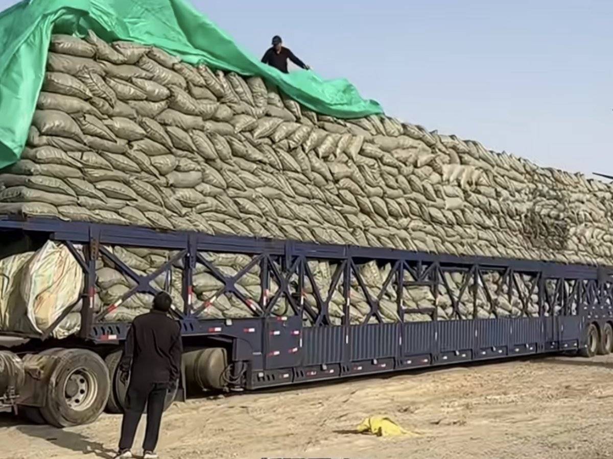 ���������&nbsp;�½��ķɻ��嶼��ô��