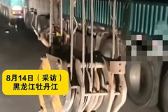 賿Ԯ ˵õľԮһû