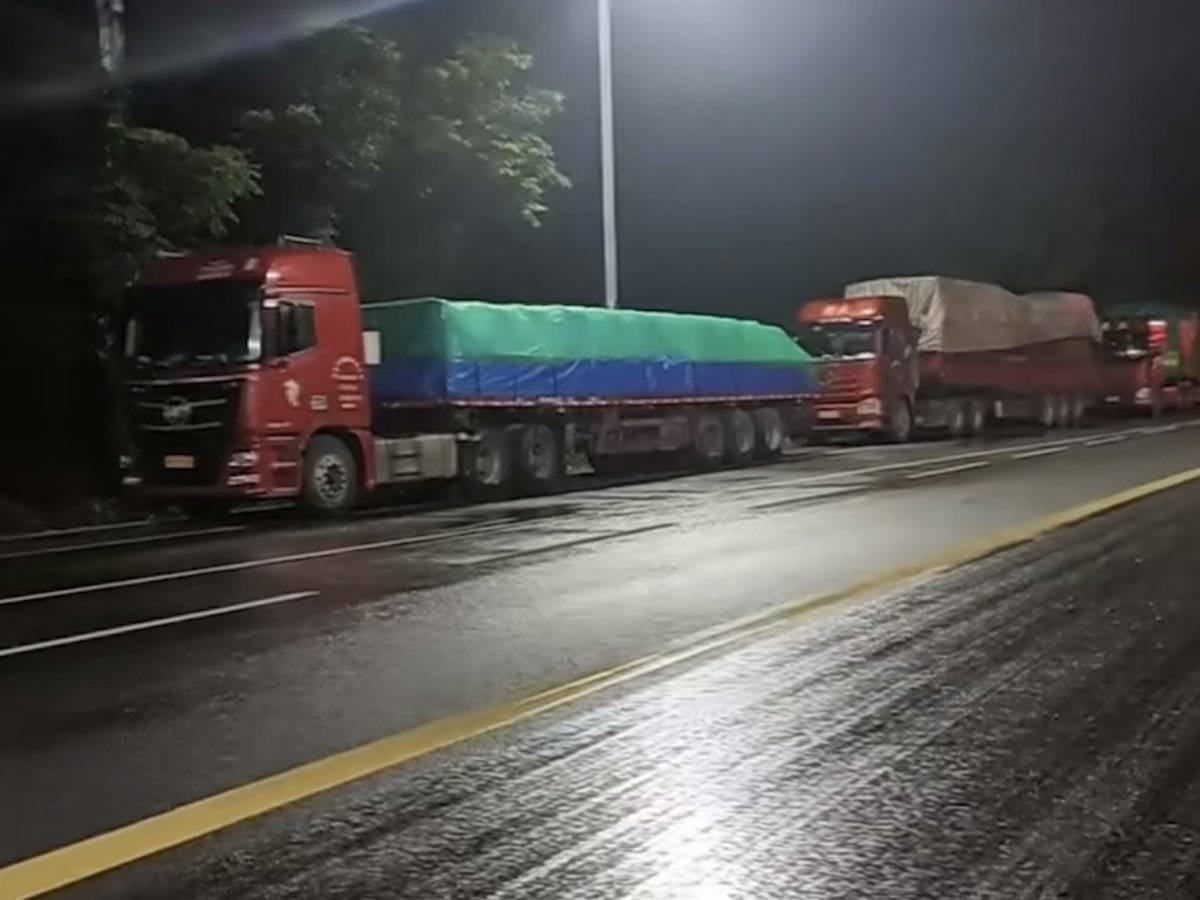 50L�����68L�ͣ�Υ����ʶ�ġ�è�塱