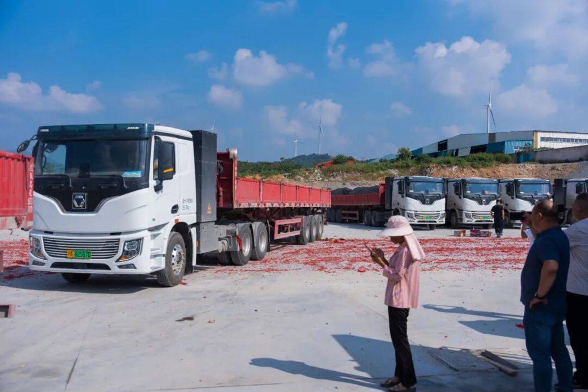 �칤����Դǣ����������������