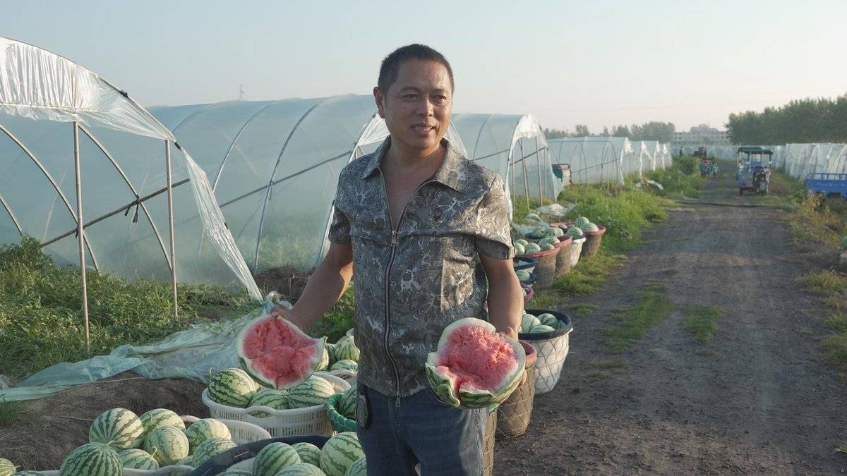 从农田到餐桌，骏铃V6和他一起守护千亩瓜田图片3