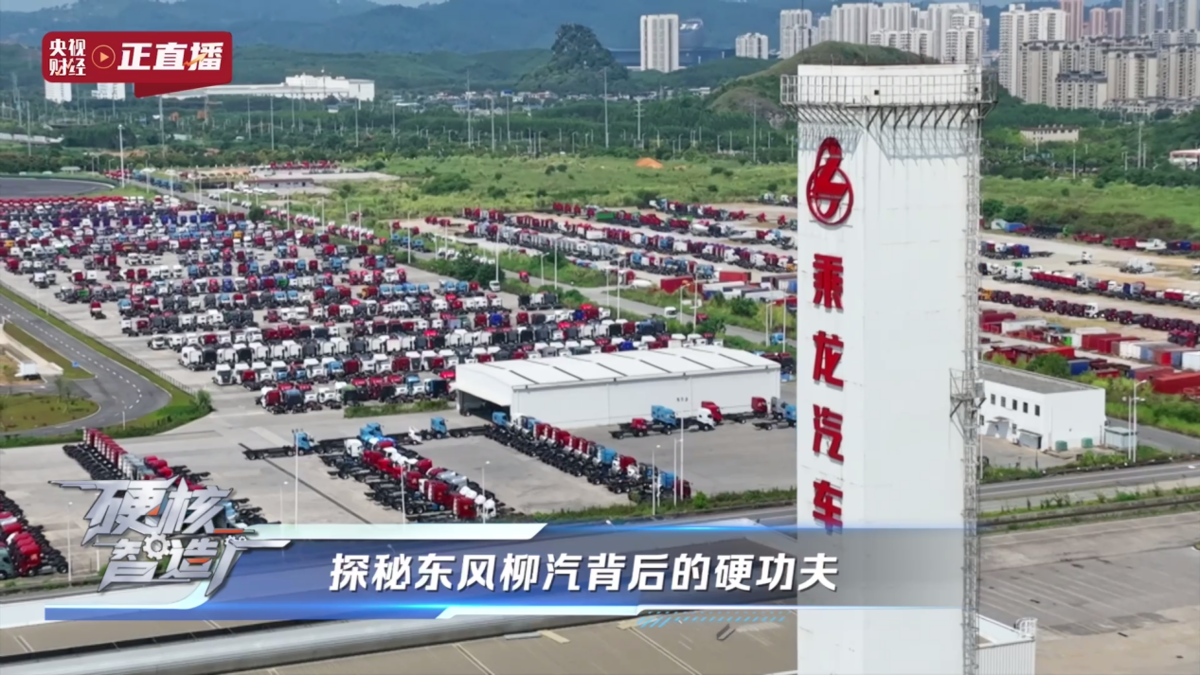 ���������󵣵��������ó������¸߶�