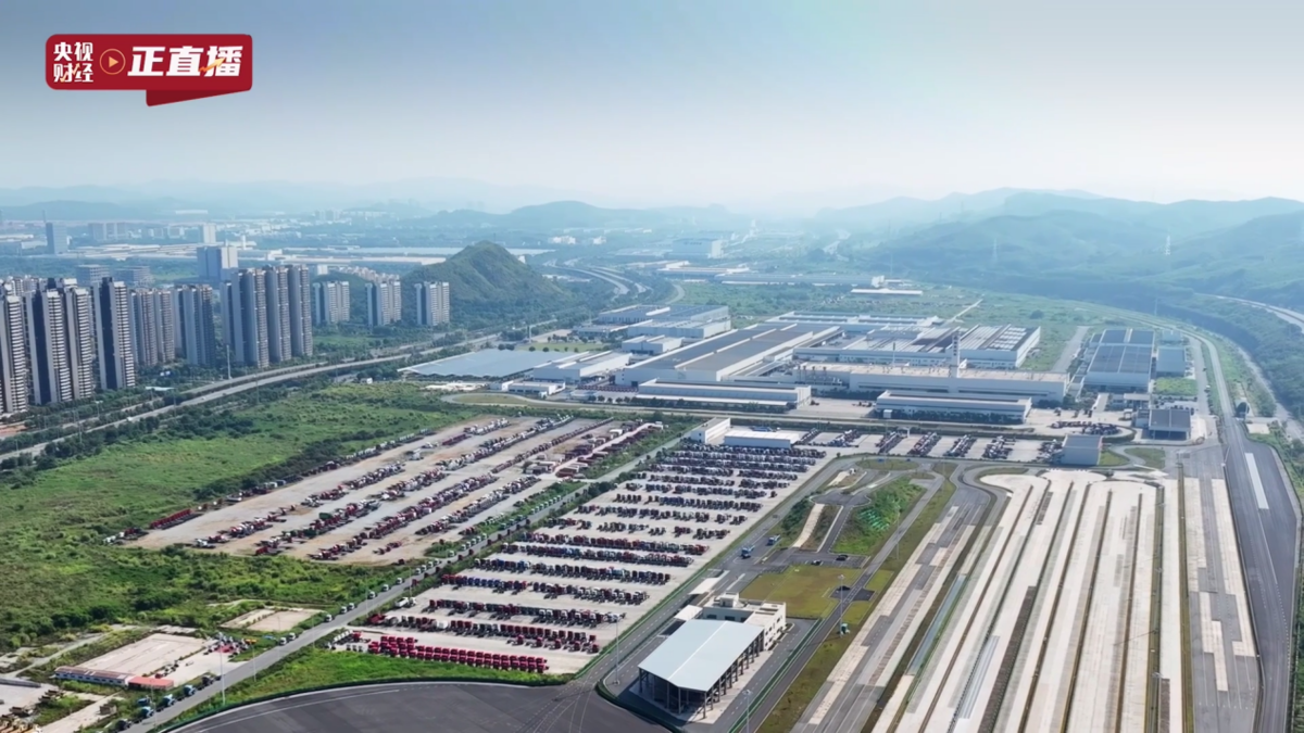 ���������󵣵��������ó������¸߶�