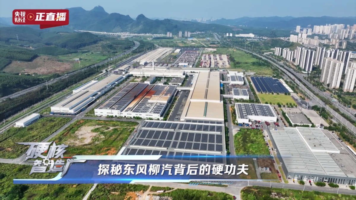 ���������󵣵��������ó������¸߶�