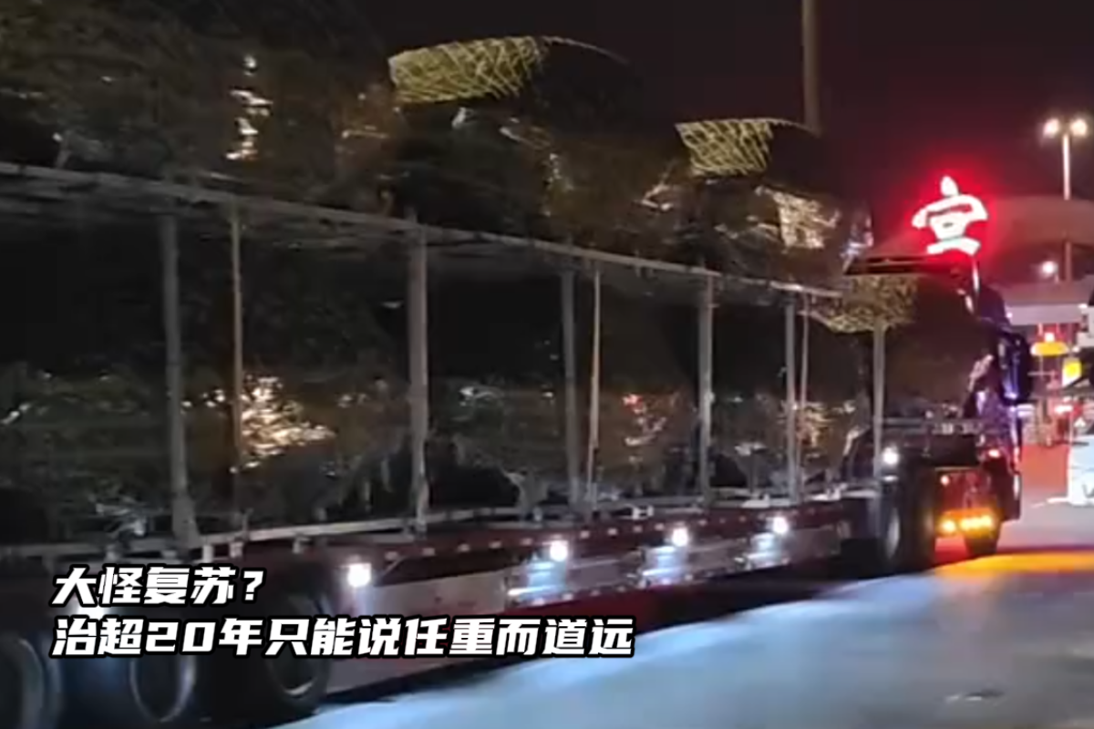 ��ָ��գ��γ�20��ֻ��˵���ض���Զ